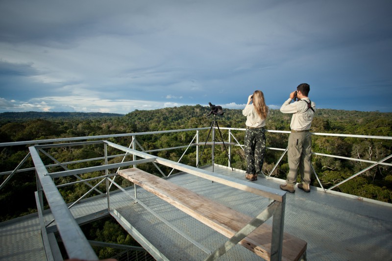 Tourists at canopy tower II